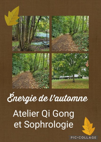 Énergie de l’automne, atelier qi gong et sophr ...