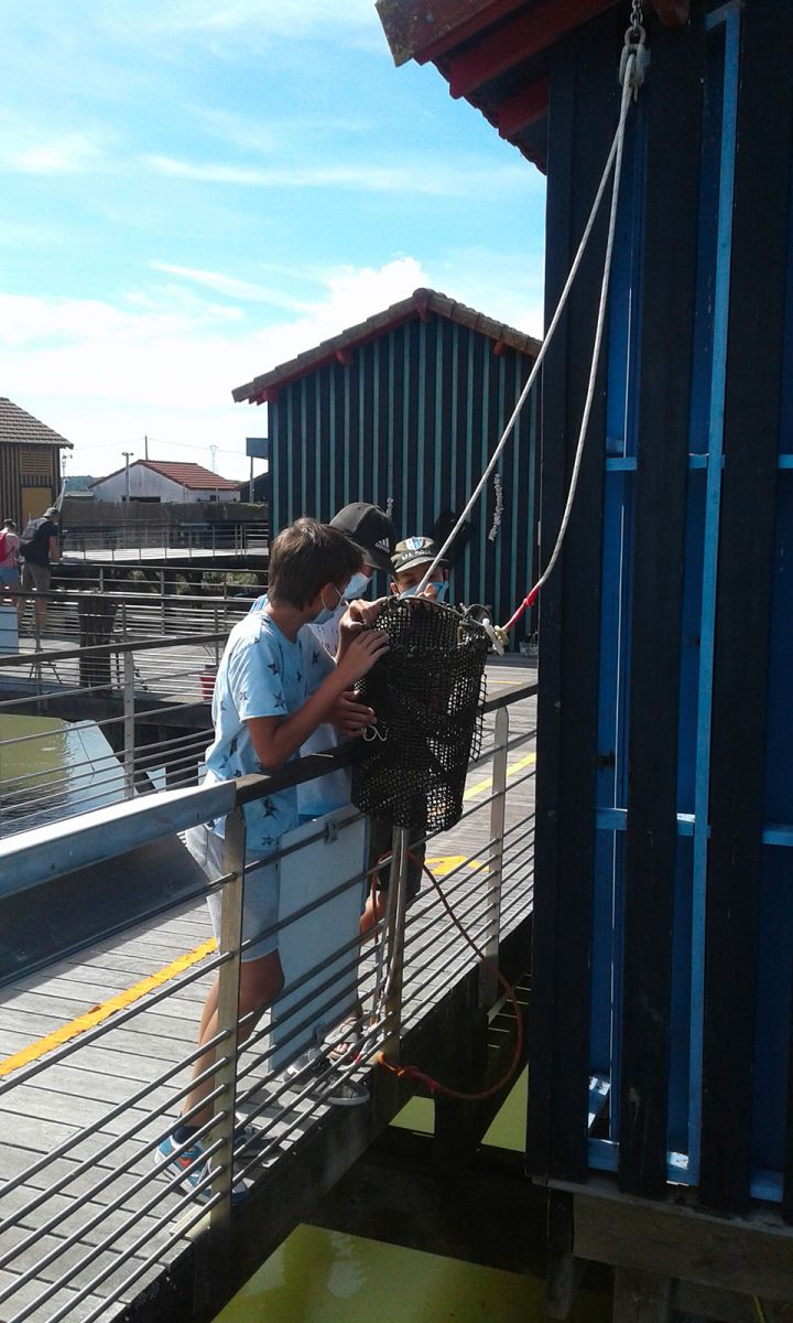 Cite De L Huitre Unusual Visits In Marennes Guide De Charente Maritime