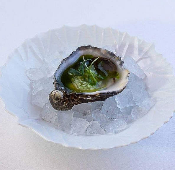 ouvre huitres  Oysterolaser by Oystercare