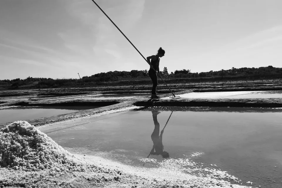 La Saline Aux 4 Vents, productrice de sel sur ...