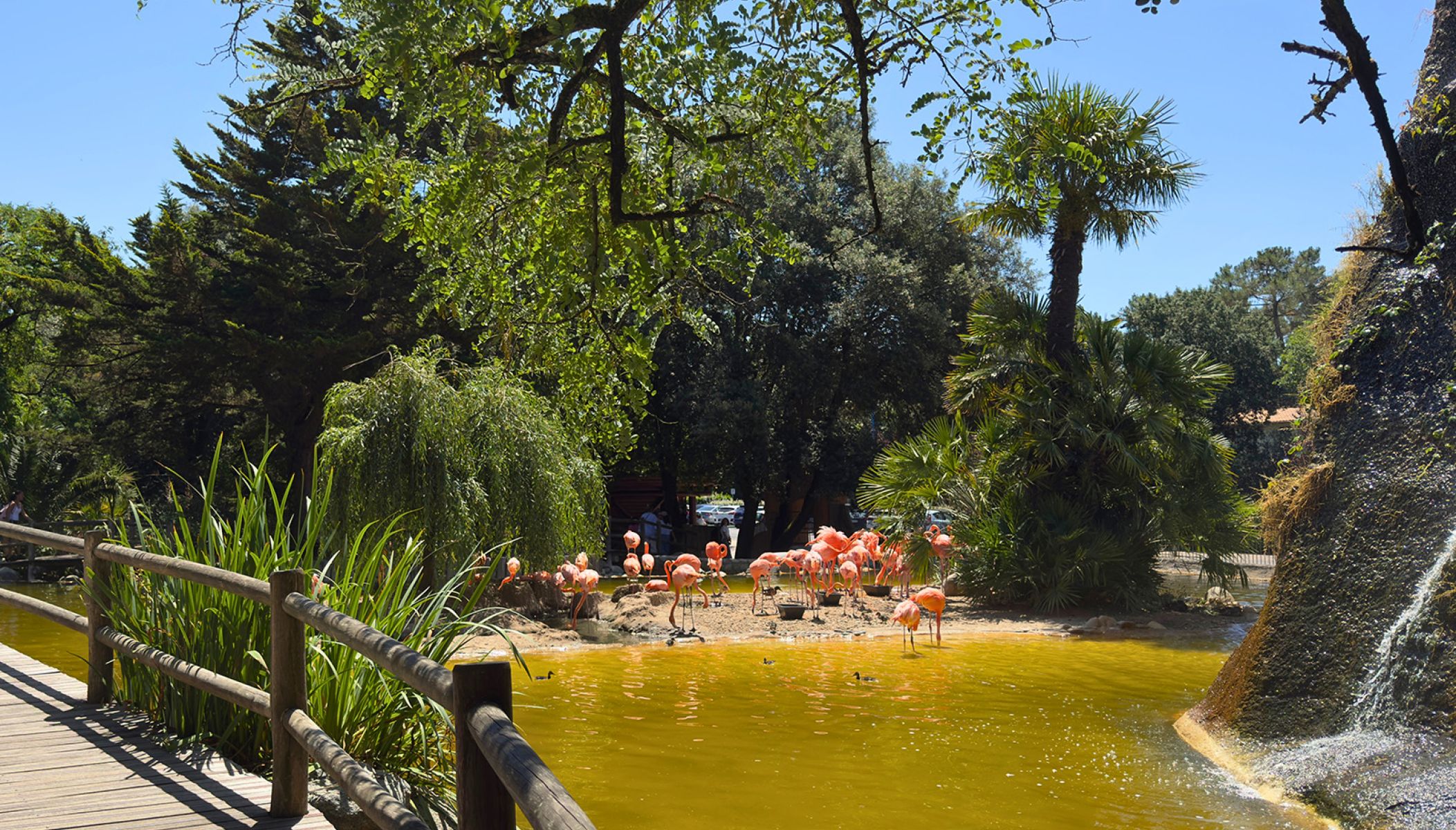 Une journée au Zoo de La Palmyre