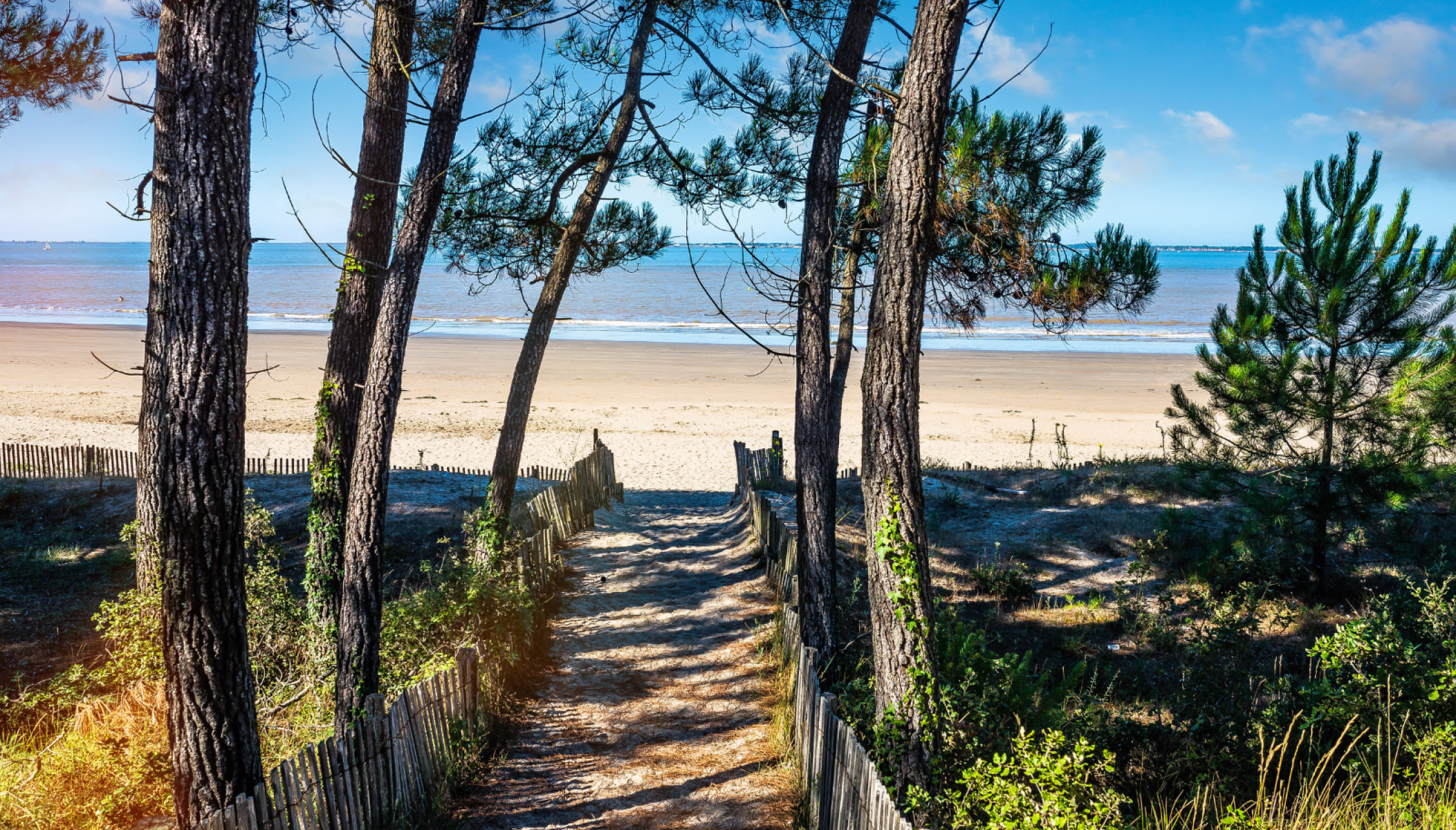 Il fait chaud en Charente-Maritime : nos bons plans fraîcheurs !