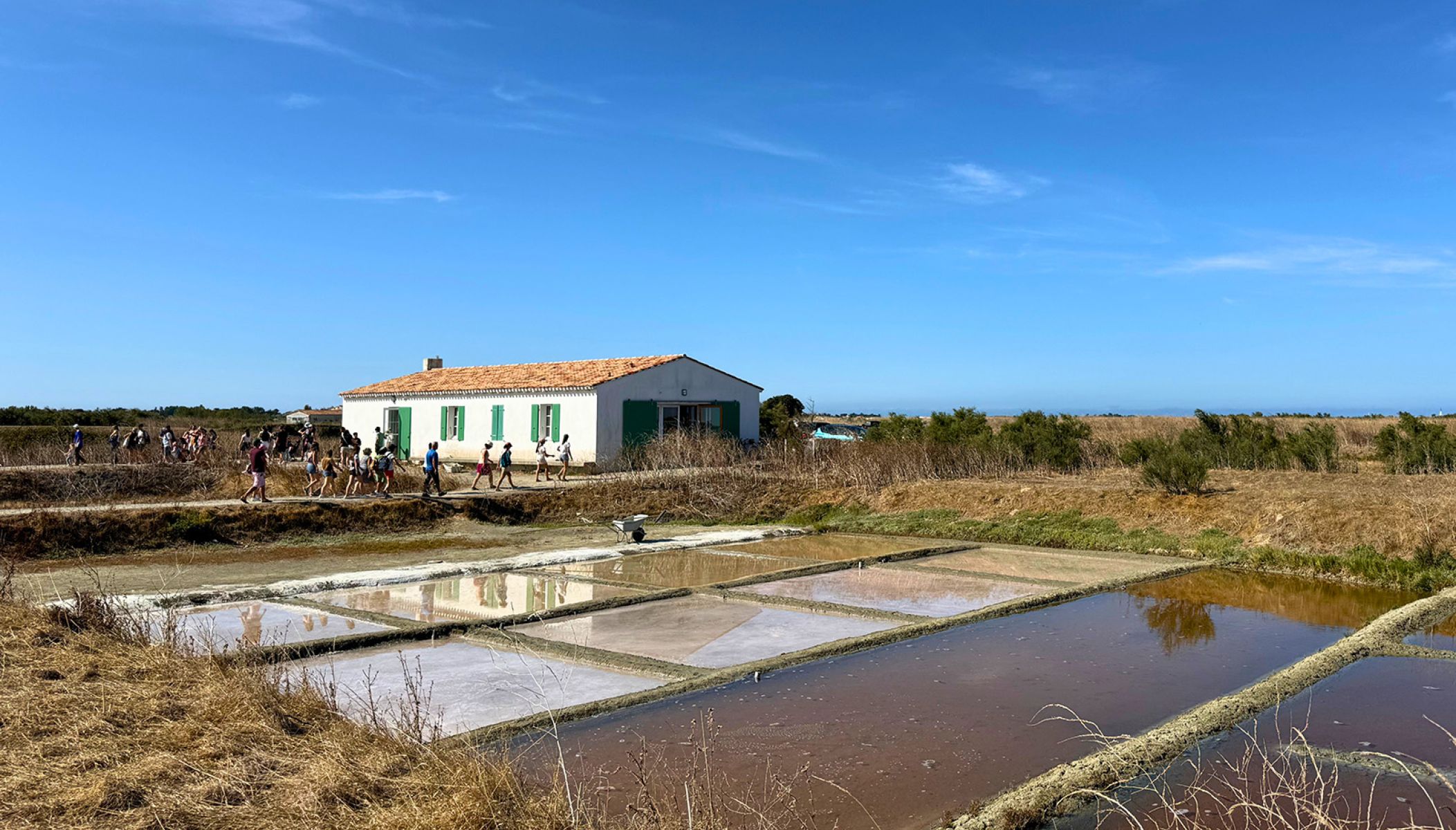 Visiter l'Écomusée du Marais Salant de Loix : une immersion au cœur de la saliculture rétaise