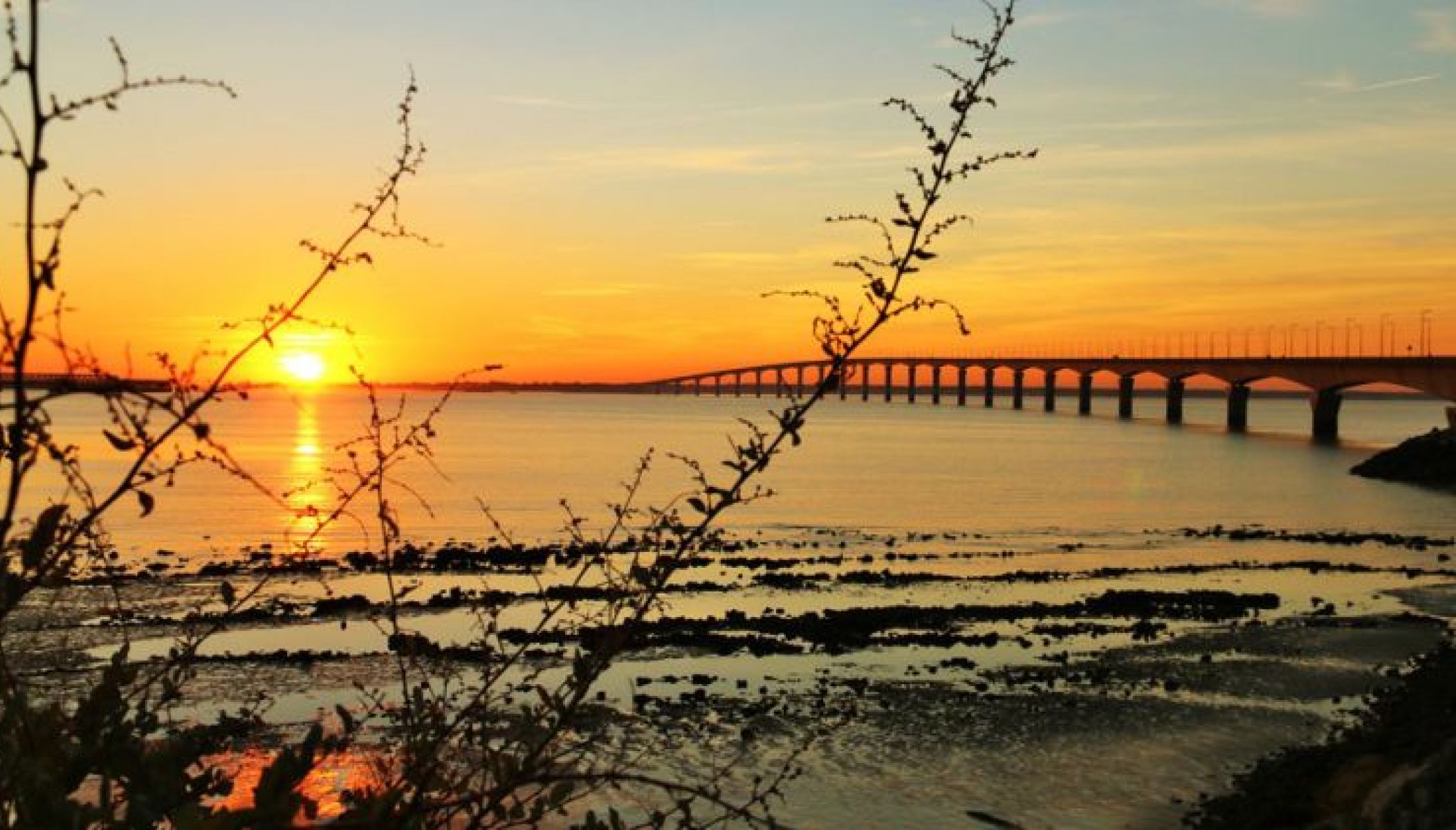 Top 5 des spots pour admirer les couchers de soleil sur l’île de Ré