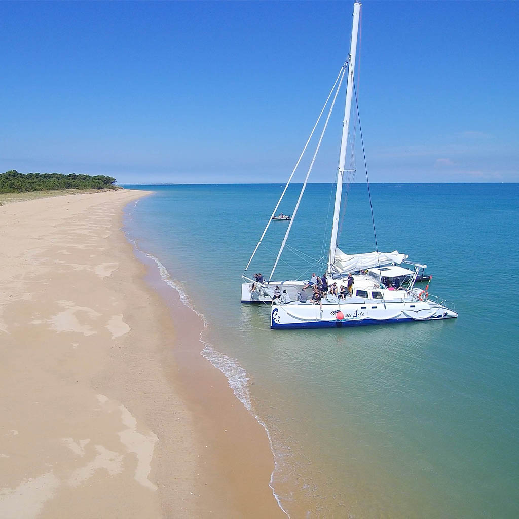 Ile ou Aile Catamaran - for a stroll around Fort Boyard departing from the island of Oléron